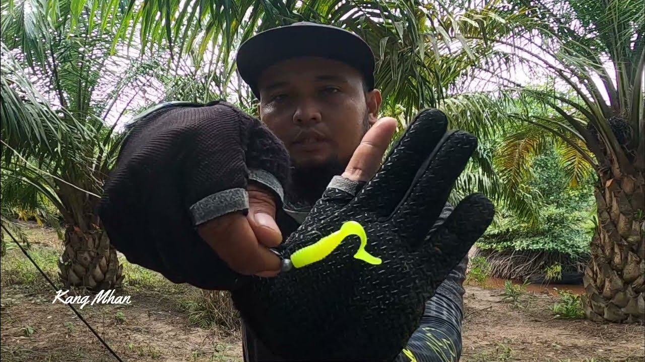 Mancing Barramundi Di Sungai Pakai Umpan Softlure
