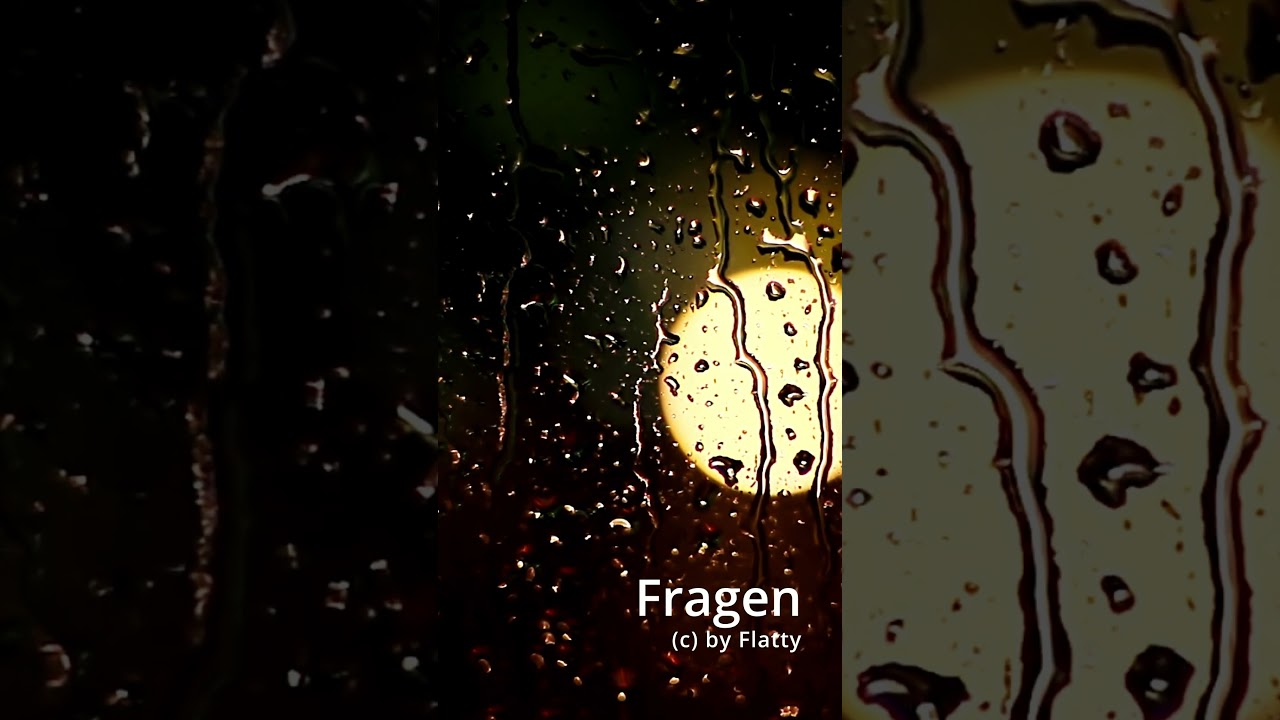 Fragen