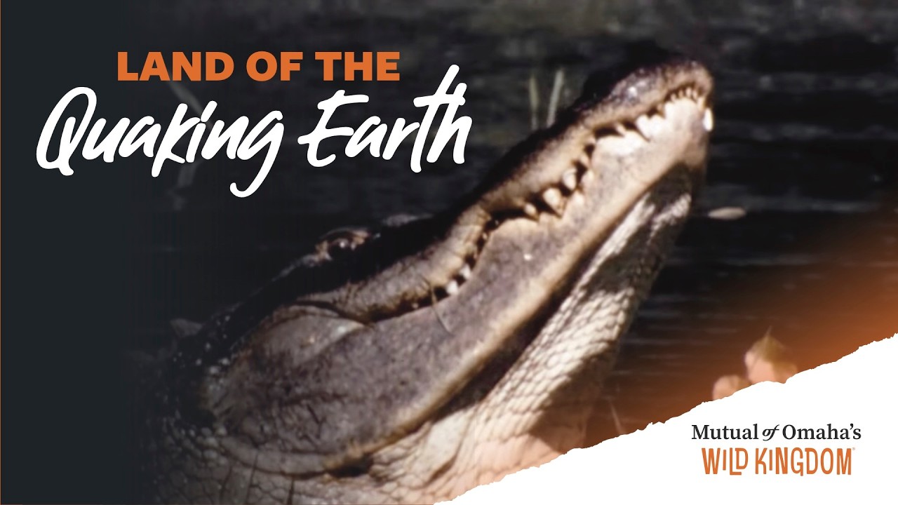 Land of the Quaking Earth