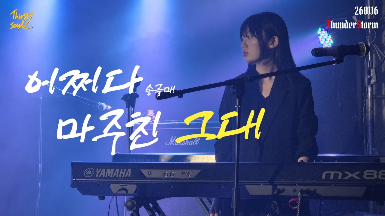 [260116 정기공연 Thunder Storm] 어쩌다 마주친 그대 - 송골매 (Covered by Thirsty Soul 29)