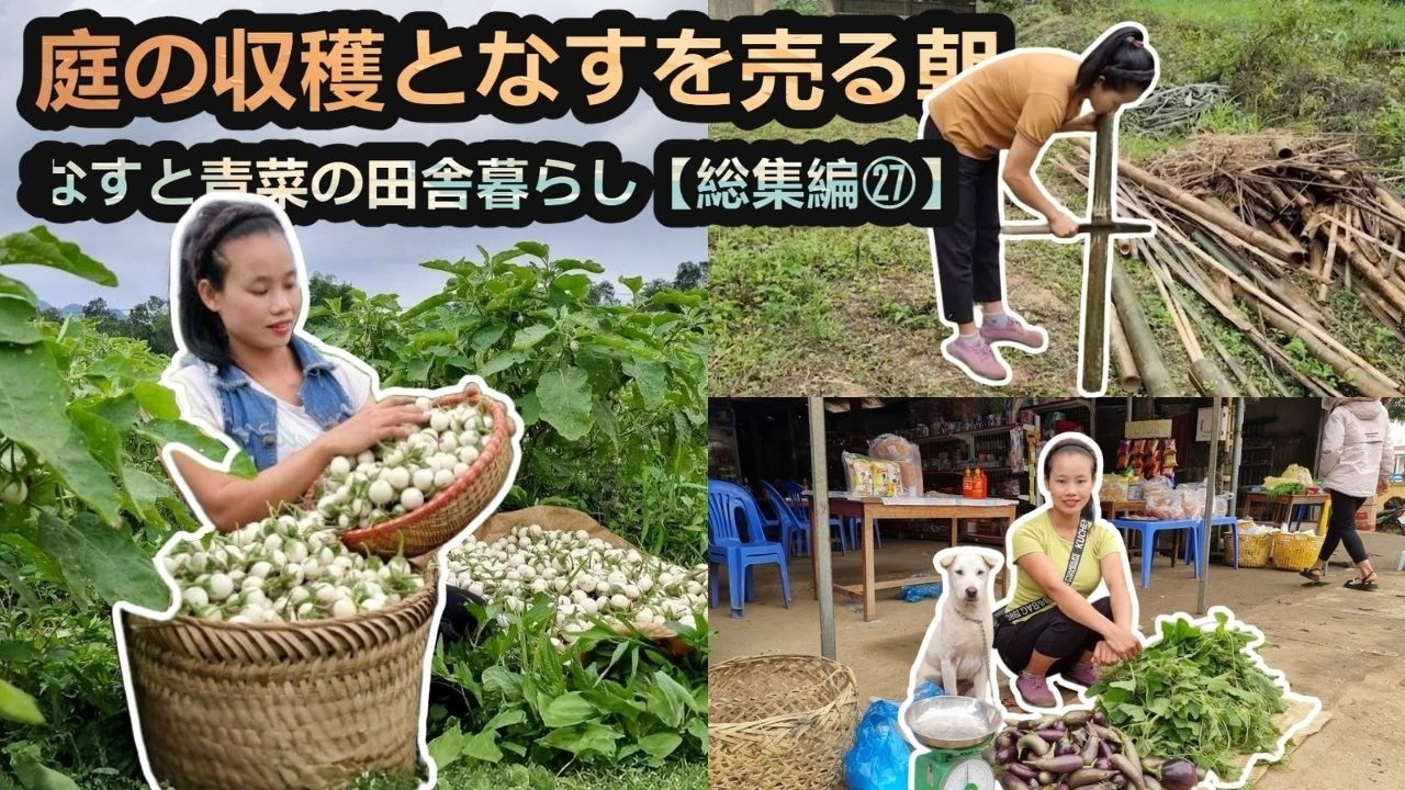 畑からそのまま市場へ｜なすと青菜の田舎暮らし【総集編㉗】