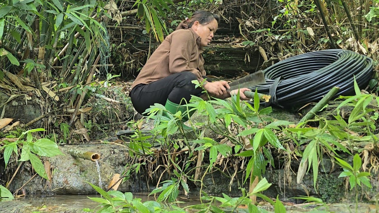Triệu Ghển | Bring water from the mountain to my dream house. To settle into a new life