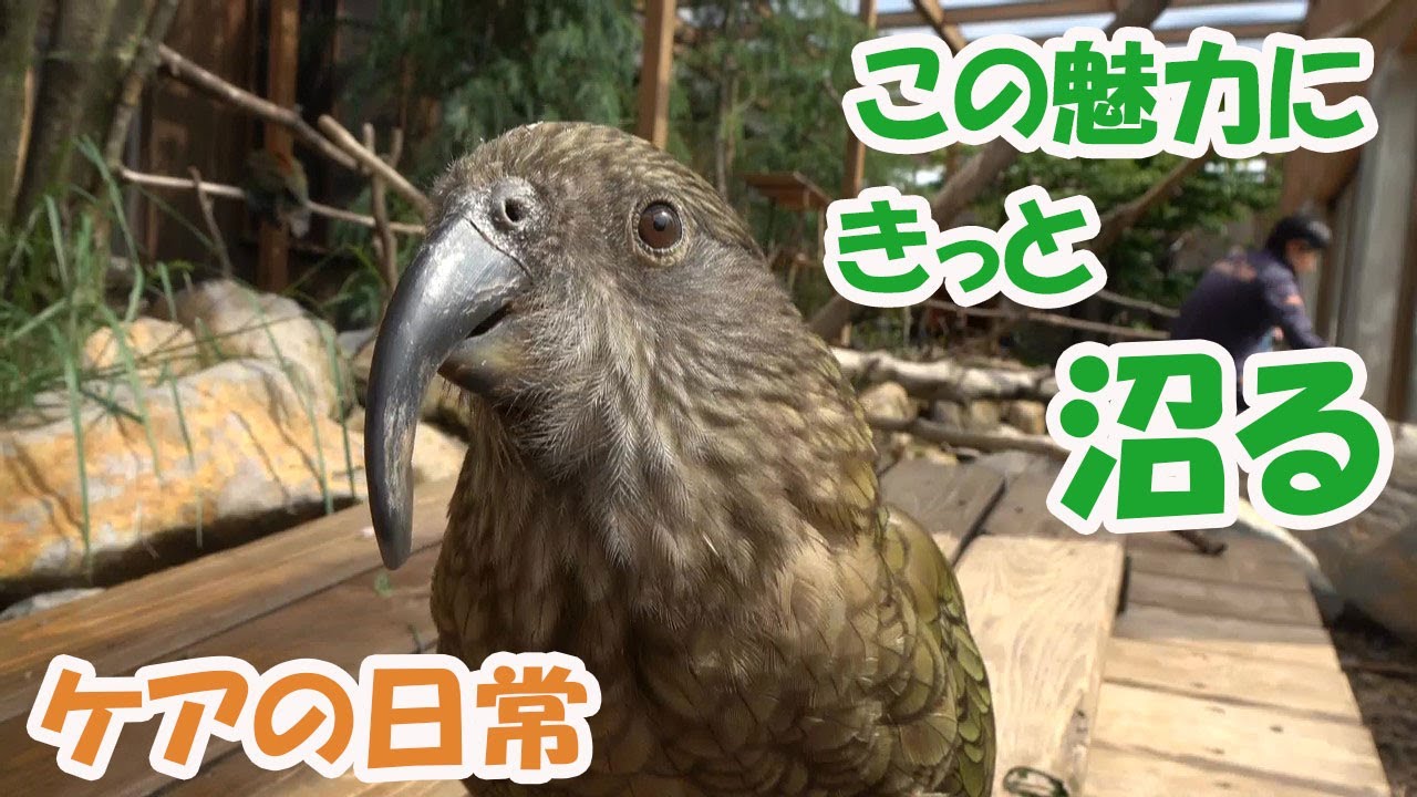【沼る】ケアの日常