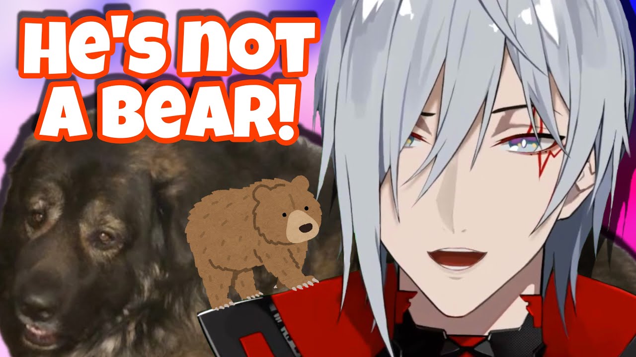 people thought Fulgur’s dog was a bear