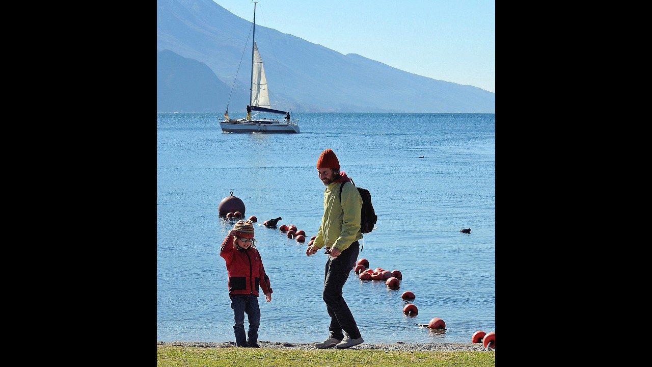 Father and Son - Cat Stevens/Live Version