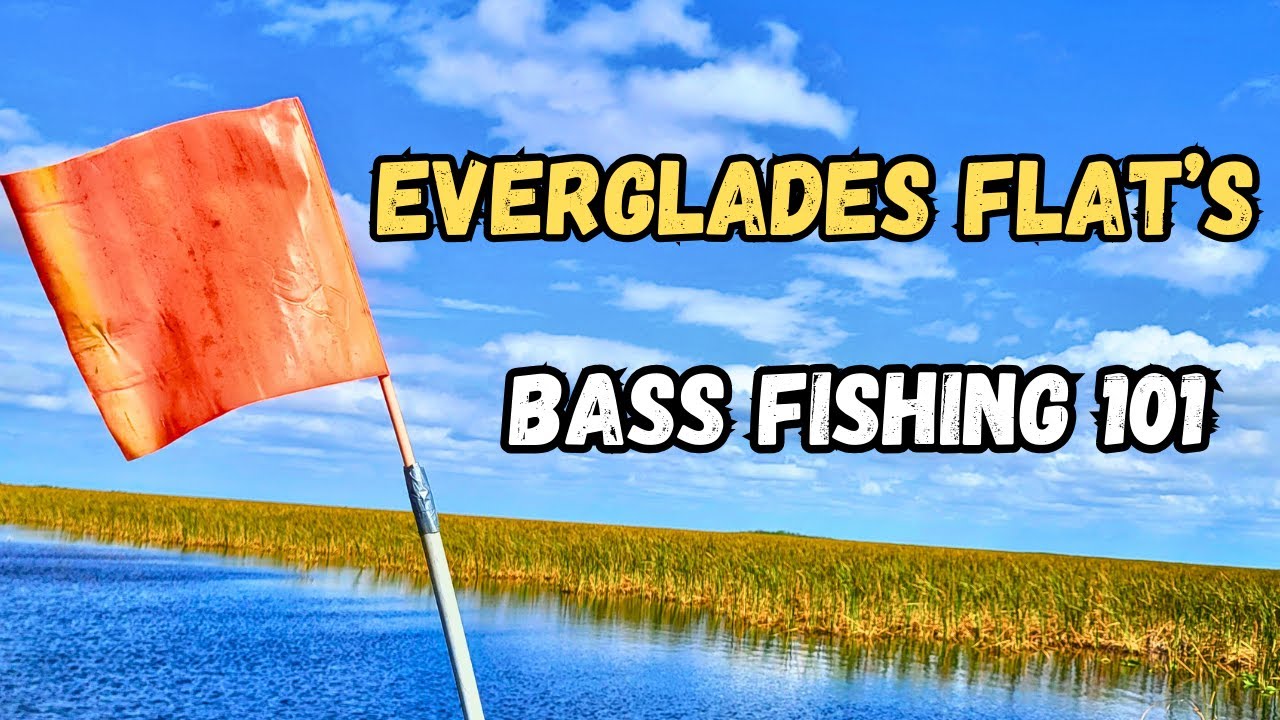Bass Fishing Paradise: A Beginner's Guide to Conquering the Everglades Flats