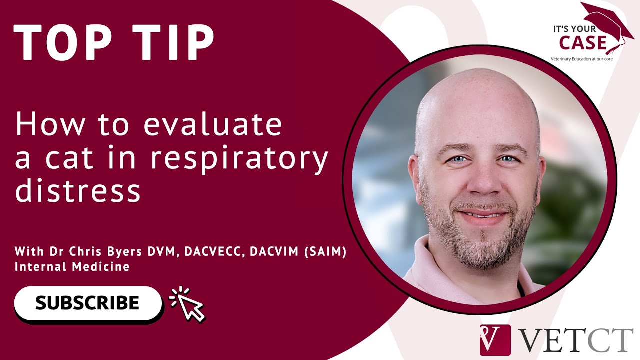 It's Your Case - Respiratory Distress Case