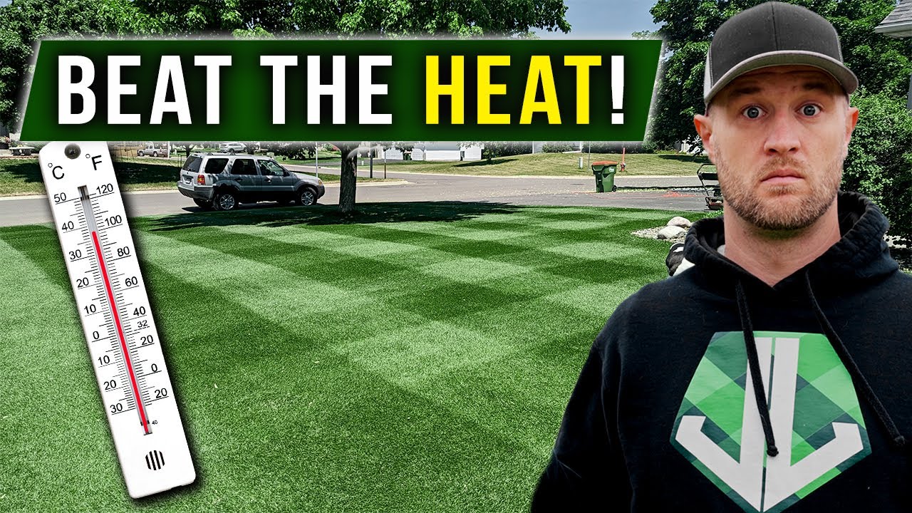 This could SAVE your LAWN this Summer!