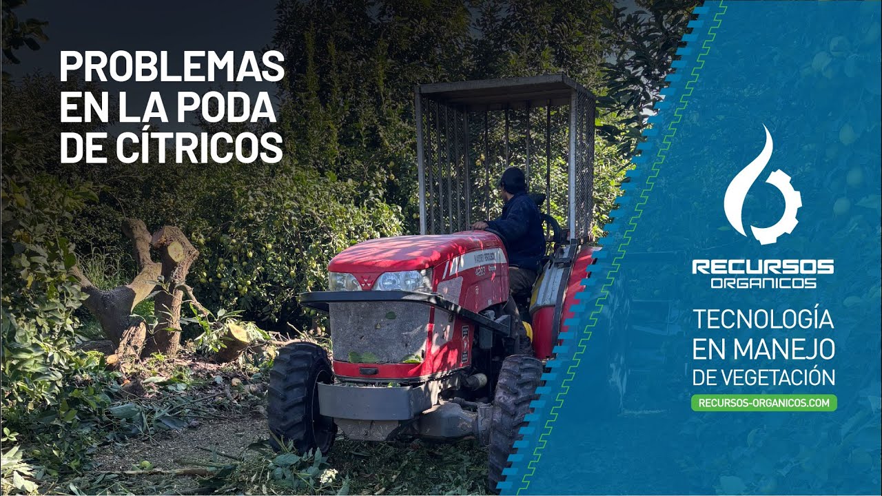 Poda en cítrus: un desafío con solución