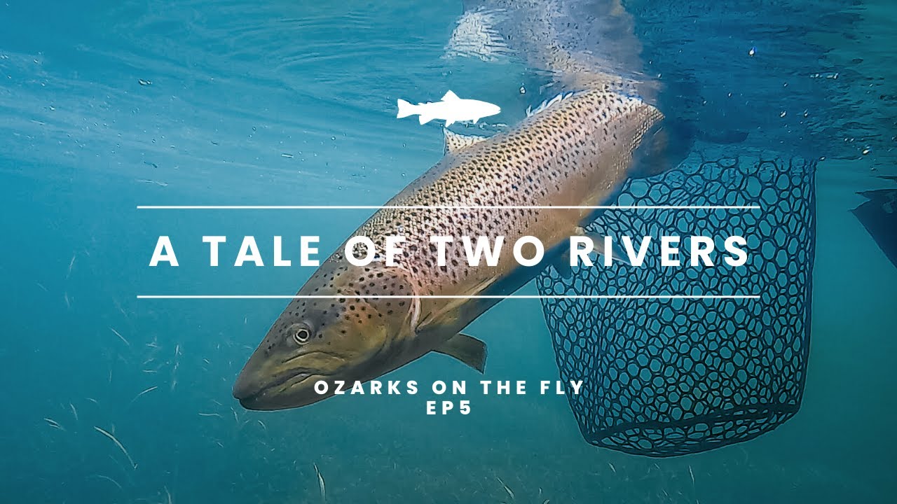 Ozarks on the Fly | EP 5 | A TALE OF TWO RIVERS