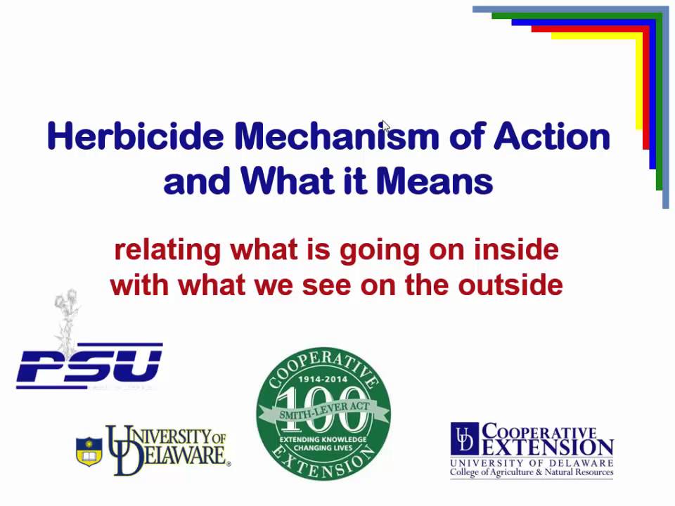 Hebicide Mechanism of action and What it Means