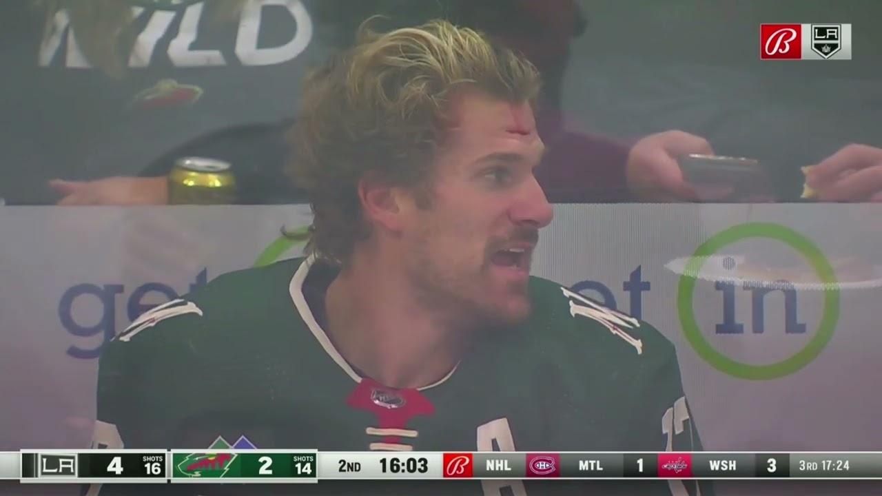 Ref drops a F bomb explaining the penalty to Anže Kopitar.