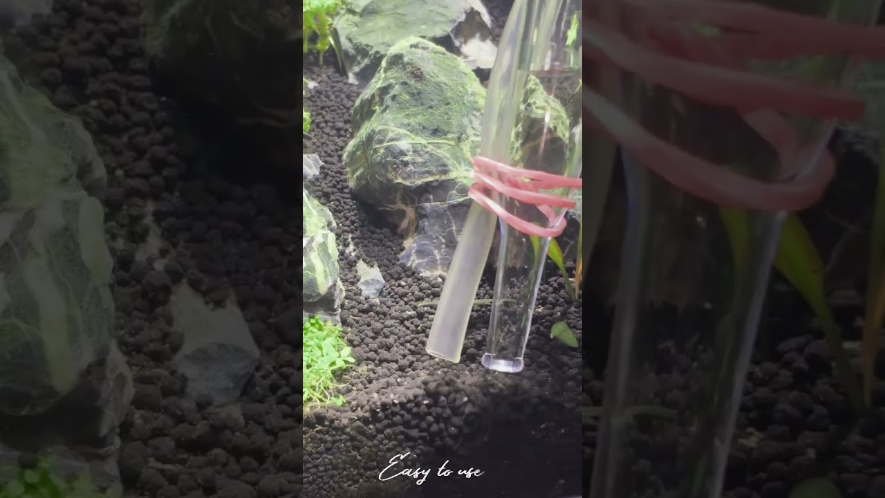 best product tips for cleaning substrate #plantedaquarium #aquarium #trending #fishtank #protips