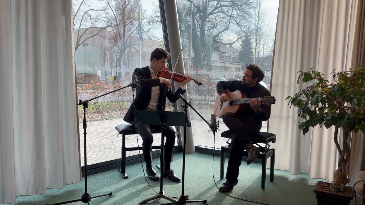 Concerning Hobbits &ndash; The Lord of The Rings (Howard Shore), Violin&Guitar Cover