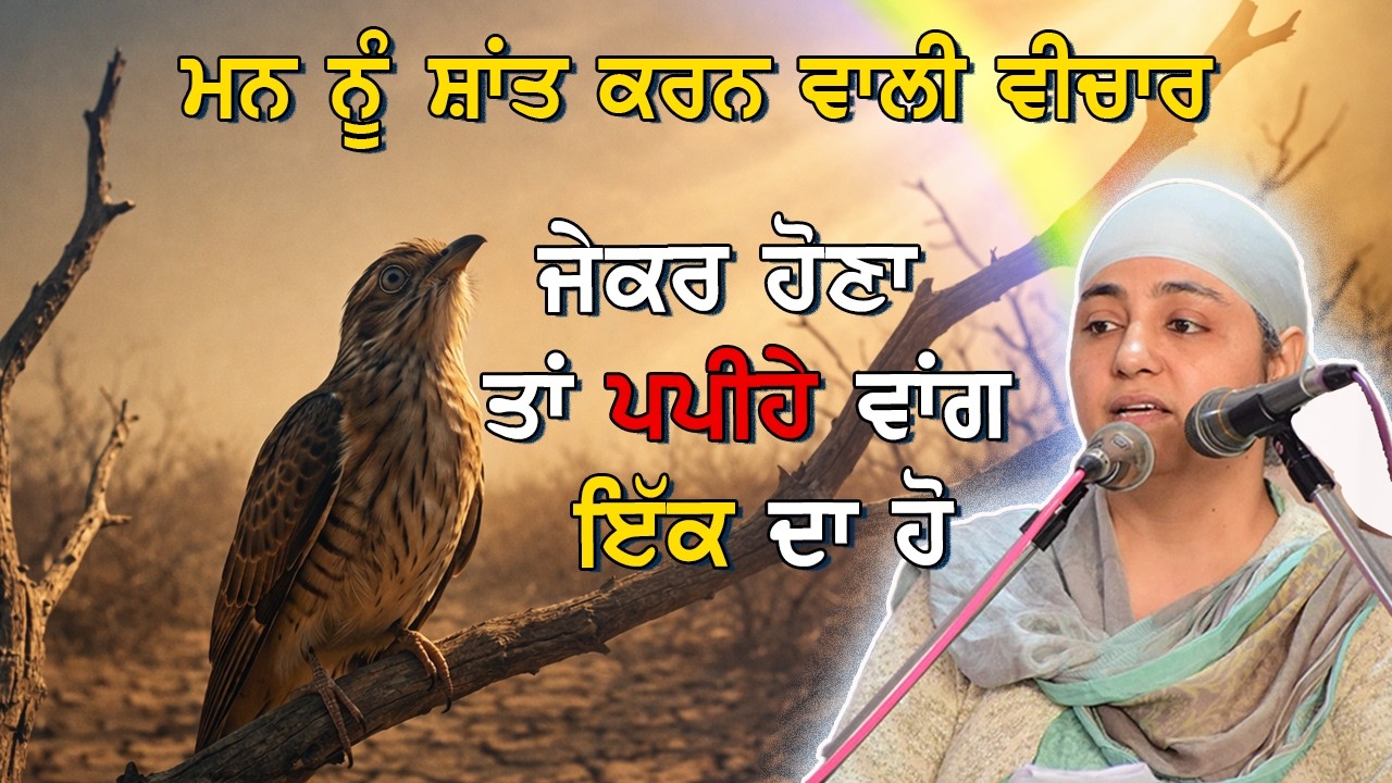 ਜੇਕਰ ਹੋਣਾ ਹੈ ਤਾਂ ਪਪੀਹੇ ਵਾਂਗ ਇੱਕ ਦਾ ਹੋ  !!!!! Gurbani Vichaar
