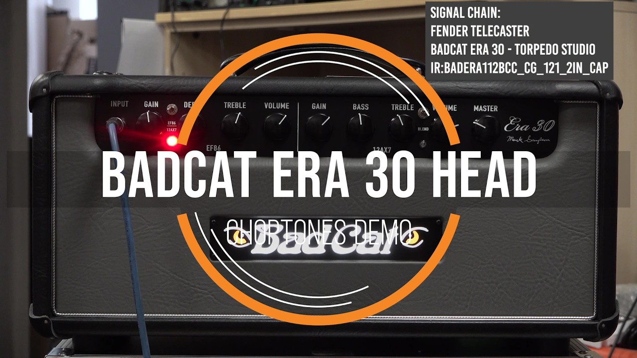Bad Cat Era 30 | Playthrough Demo
