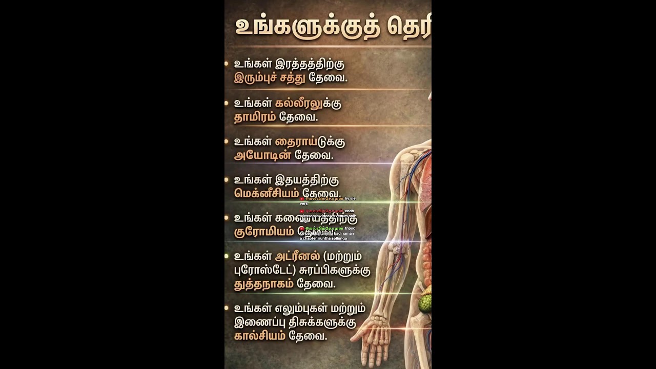 கல்வித்தோழன் Live Stream