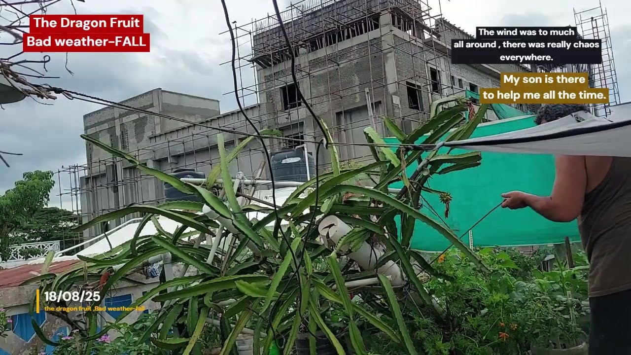 Df Badweather 180825