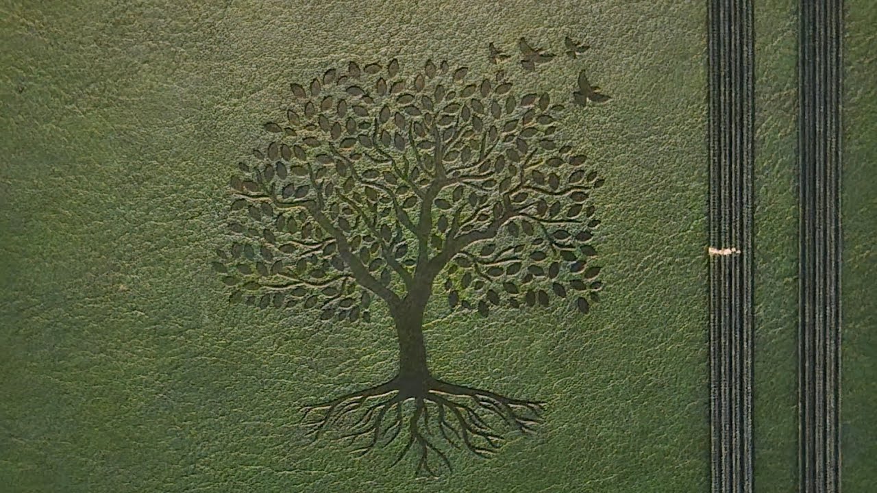 February 6th, 2026 Bullet Journal