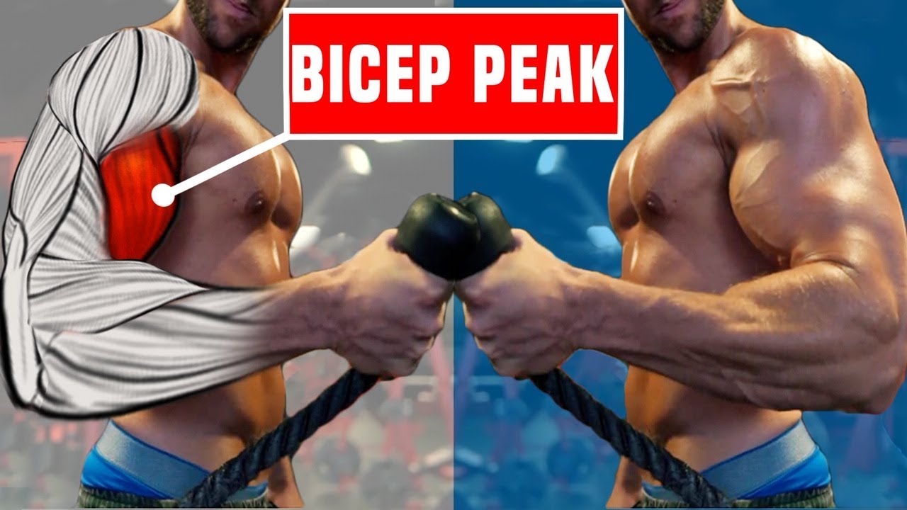 5 Best Bicep Peak Exercises (DON'T SKIP THESE!)