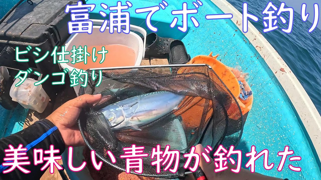 【ボート釣り】真夏の千葉県富浦湾で美味しい青物が釣れた【夏の海】