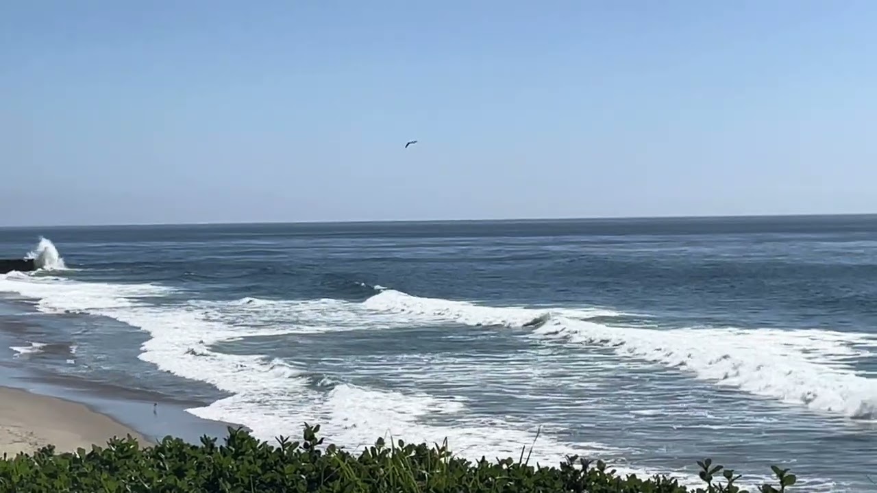March 9, 2026 Every Morning at The Beach NorCal Santa Cruz California #socal #beach
