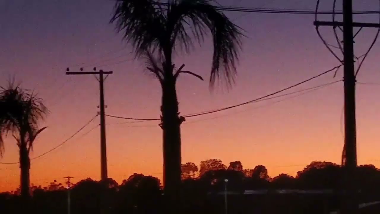 Passaros cantam sedo da manha 