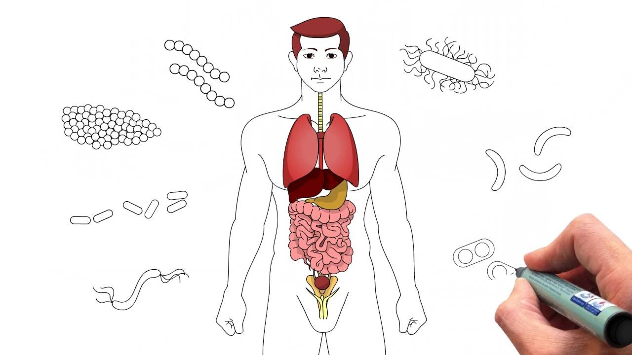O que você sabe sobre Sepse?