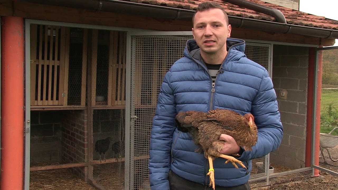 KOKE IZ TESLIĆA - Prijatelji životinja (12/11/2017)