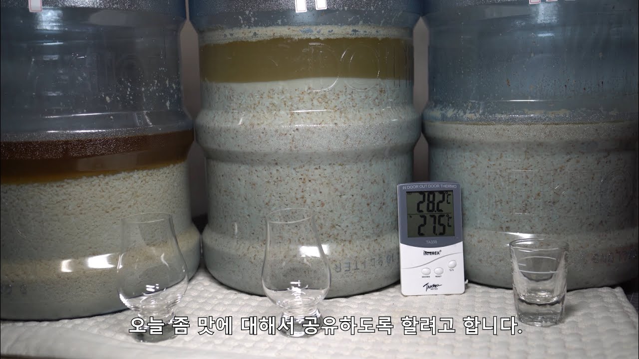 #7-8  2019 10회 전국 가양주 주인 대회 술 만들기 16일차부터 20차 거르기전 맛보기