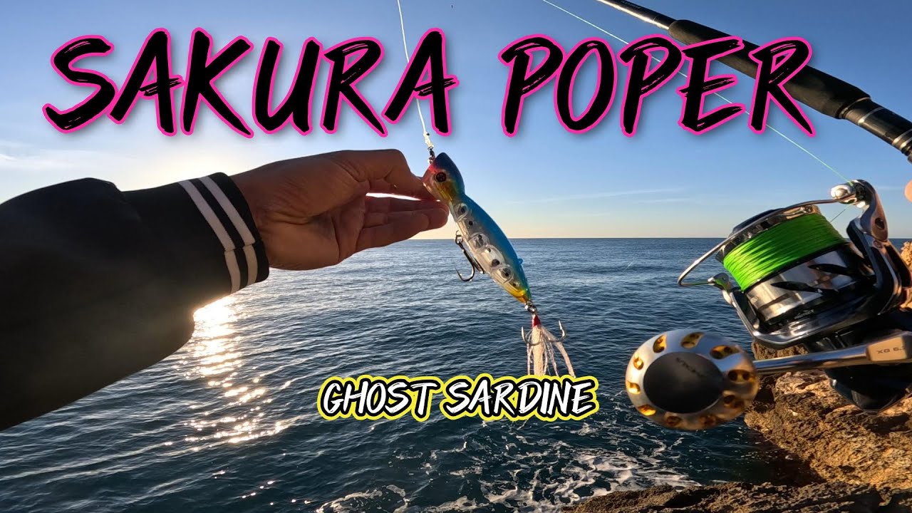 SAKURA RAPTOR  EXPLOSION DE SONIDO