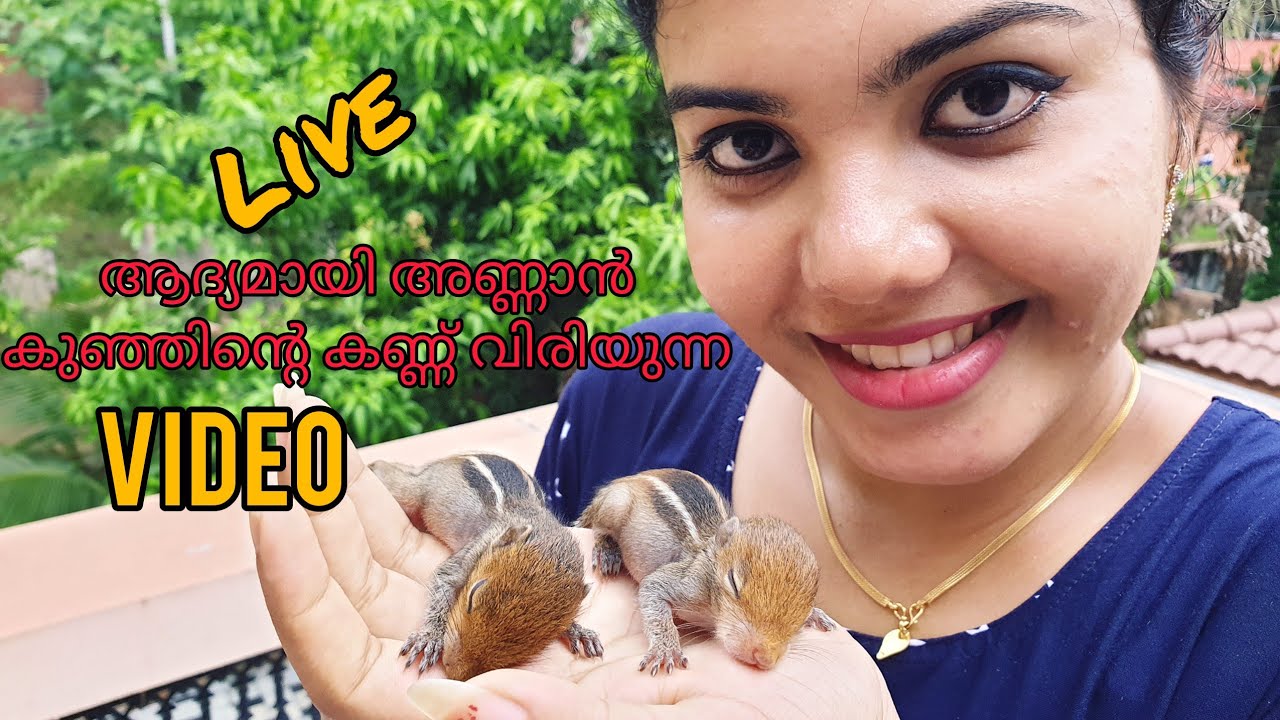 അണ്ണാൻ കുഞ്ഞിന്റെ കണ്ണുവിരിയുന്നത് live ആയി കാണണോ