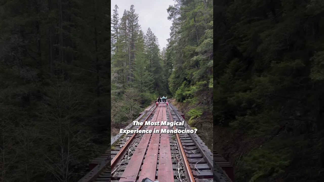 Rail Bikes on The Noyo River in Mendocino, California