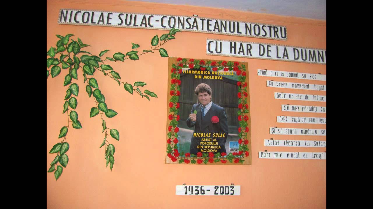 1982 - Lautarii si Nicolae Sulac ( vinyl )