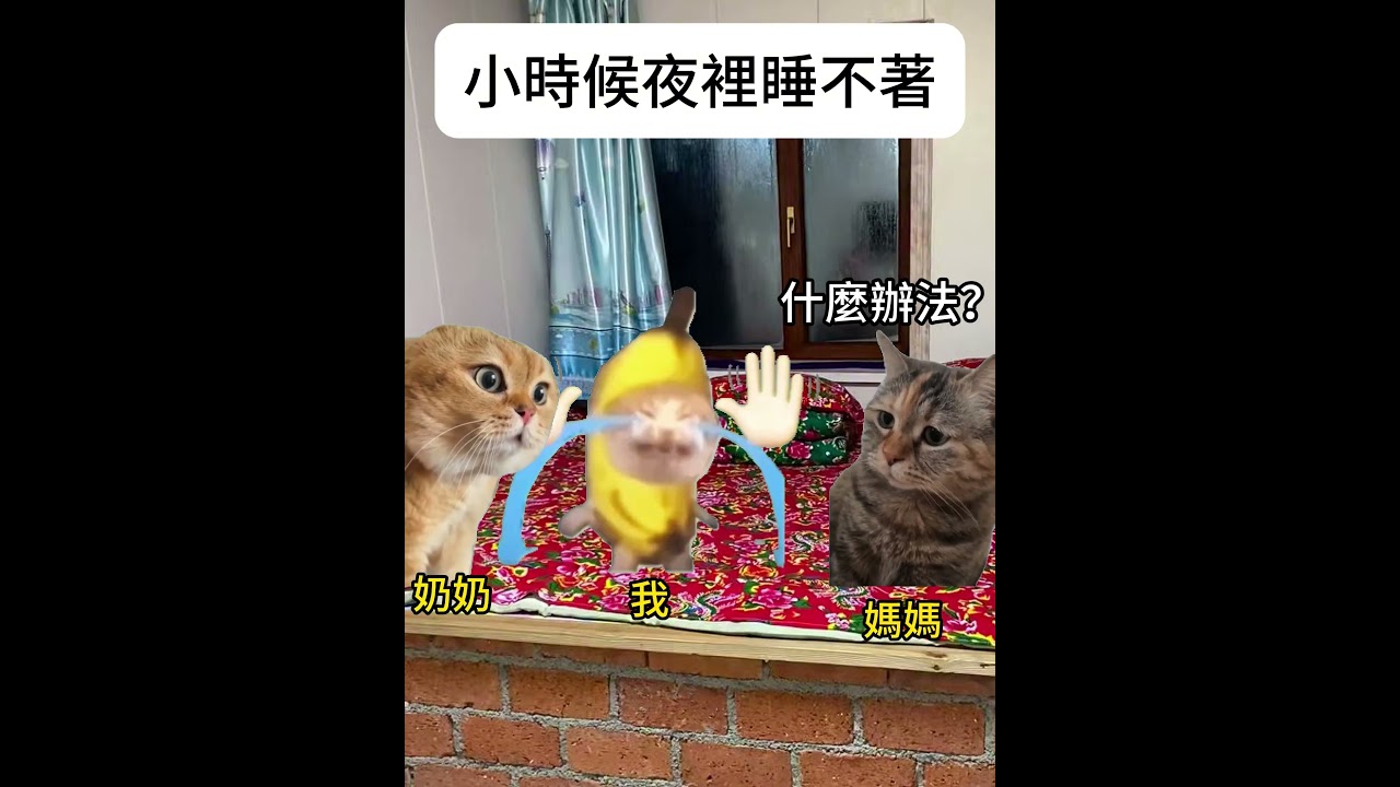 【😺CatDramaCorner】小時候夜裡睡不著 #cat #貓meme小劇場 #00後 #shorts #shortvideo #funny cat videos