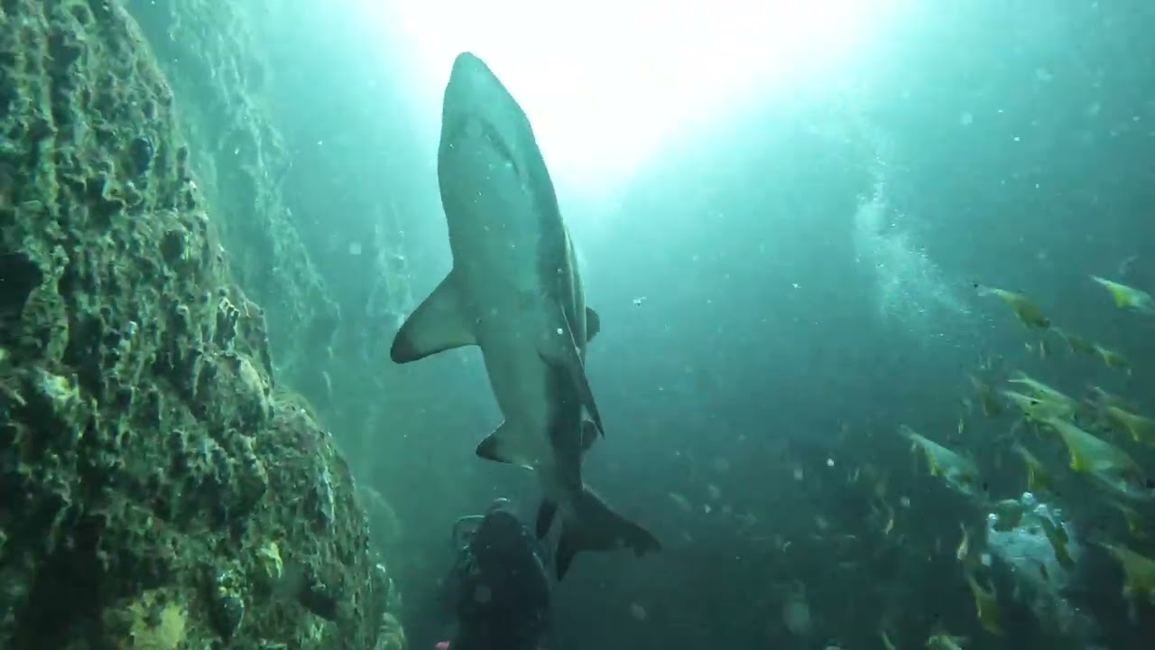 SWR - Fish Rock Cave -  Best of the Conditions I have experienced