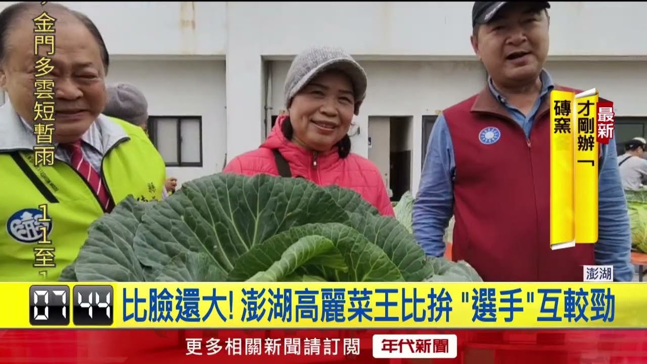 澎湖烏崁辦2026高麗菜王賽　單顆最重達「22.51」台斤