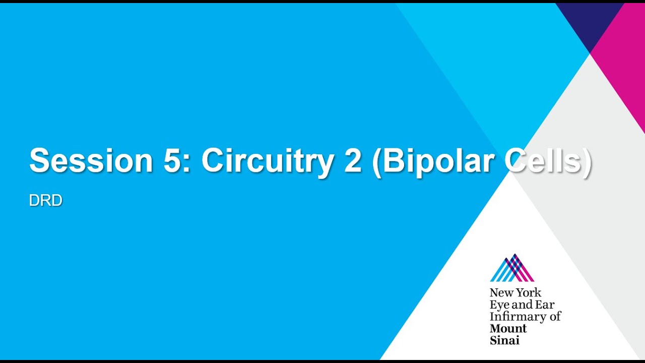 Session 5 - Circuitry 2 (Bipolar Cells)