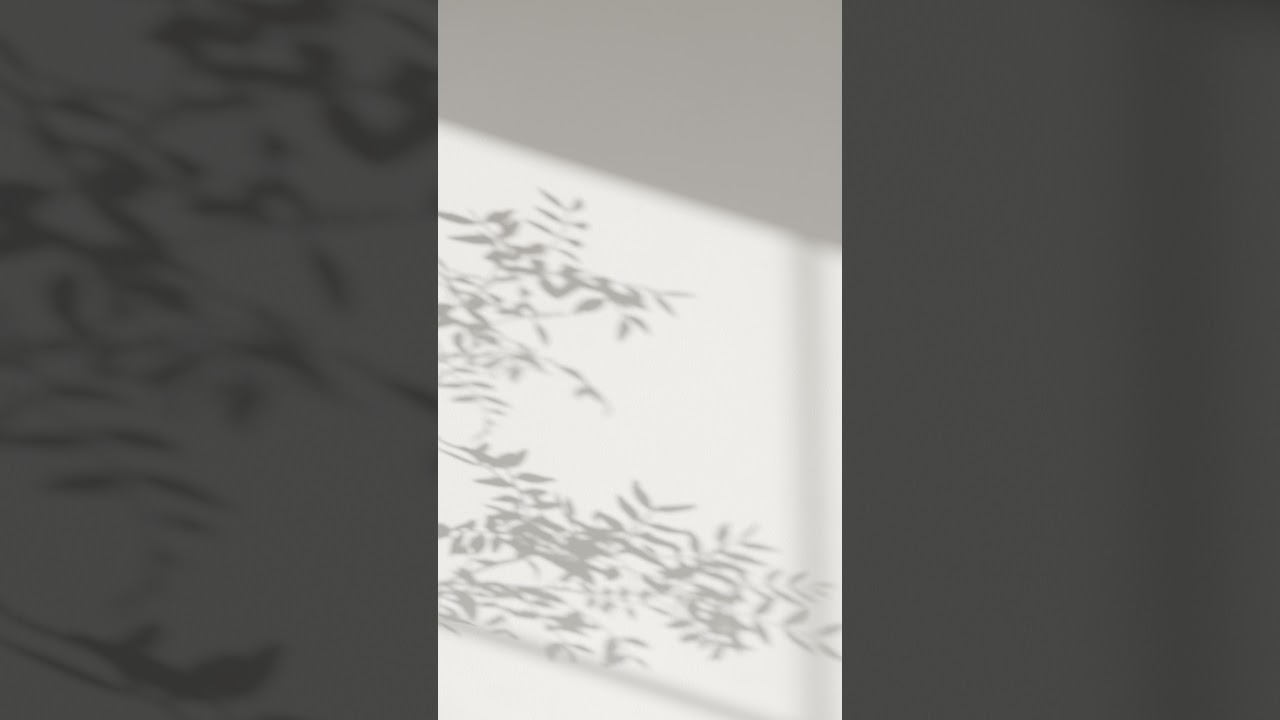 No Copyright Shorts -Shadow of Leaves Swaying in the Wind - No Copyright Zone