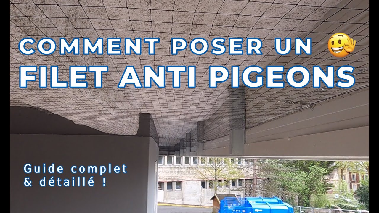 Comment installer un filet anti pigeons