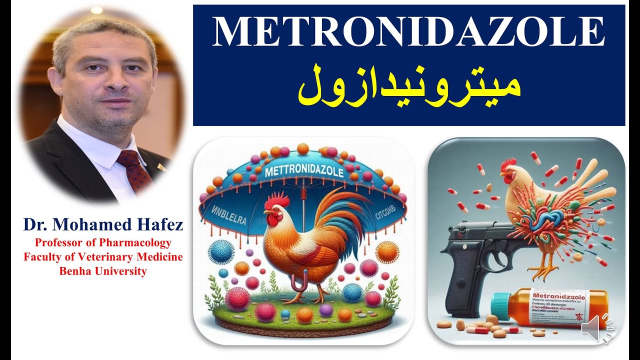 ميترونيدازول METRONIDAZOLE