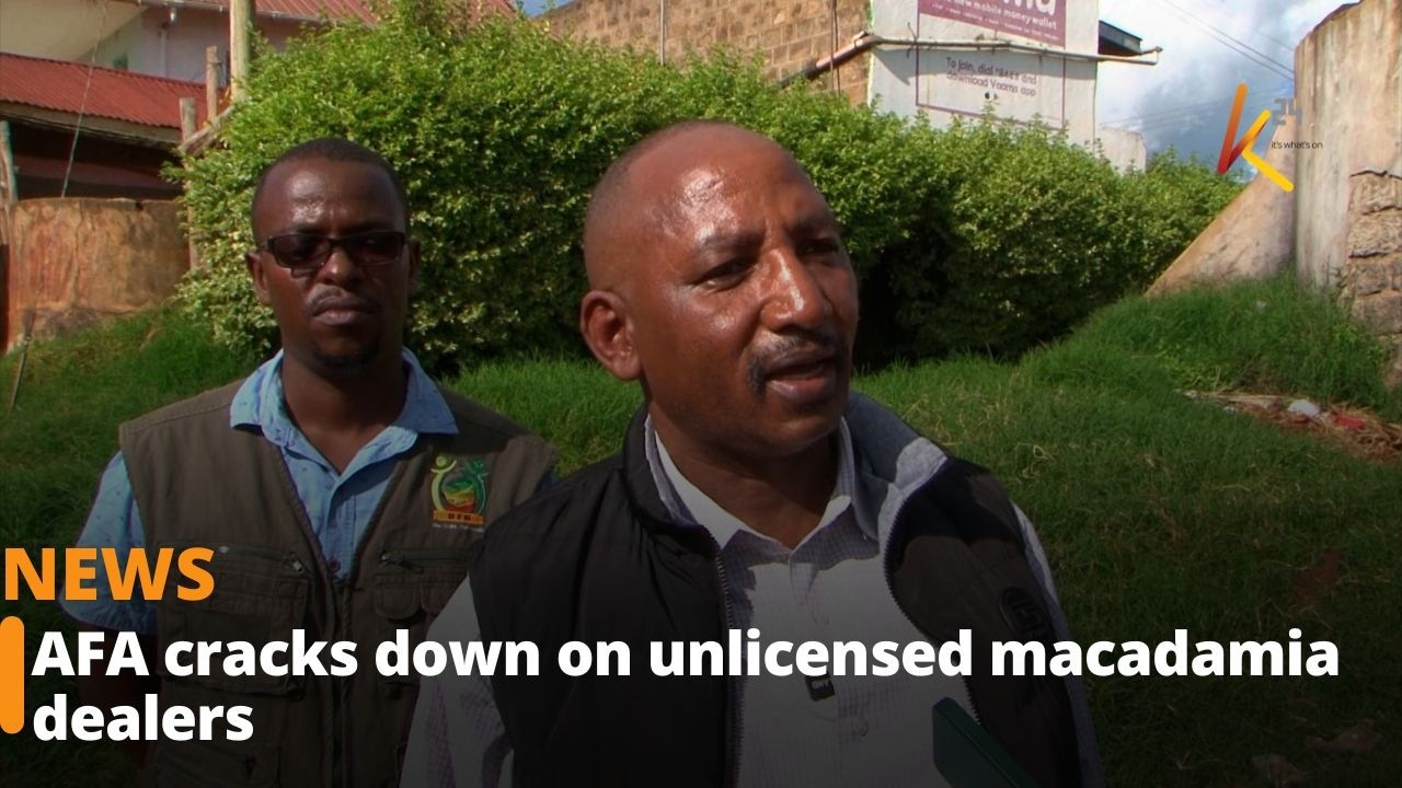 AFA cracks down on unlicensed macadamia dealers