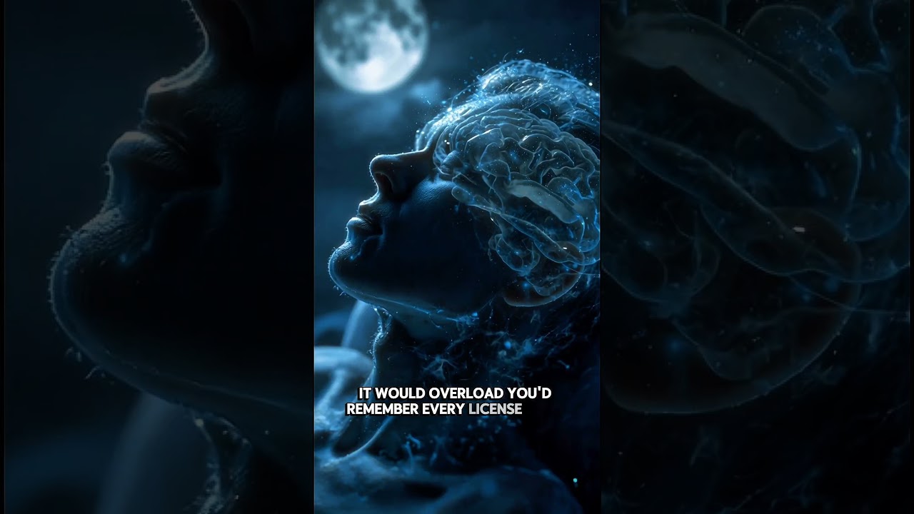 The ULTIMATE Facts About Our Brain 🧠 Power 