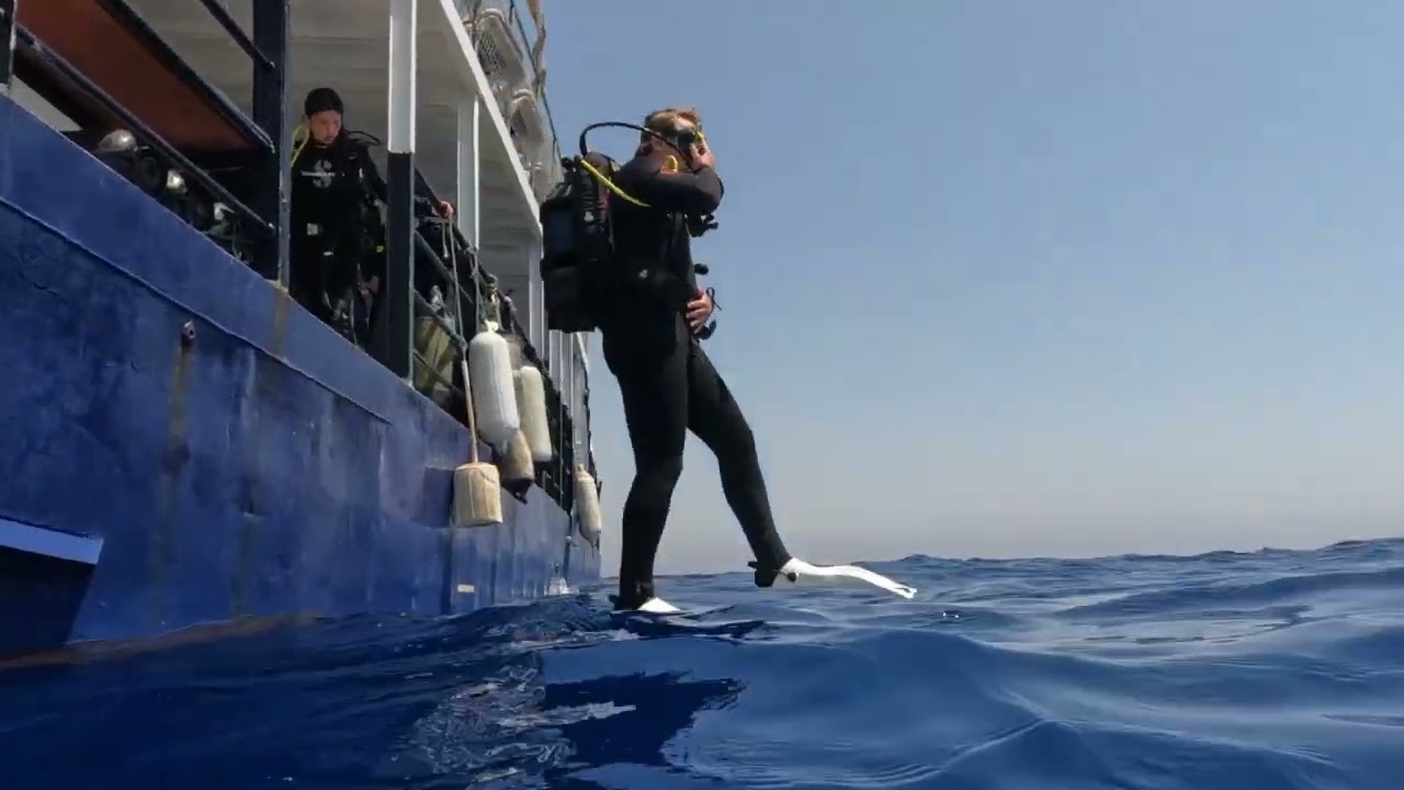 Wreck Diving the Legendary MS Zenobia | Cyprus 🇨🇾