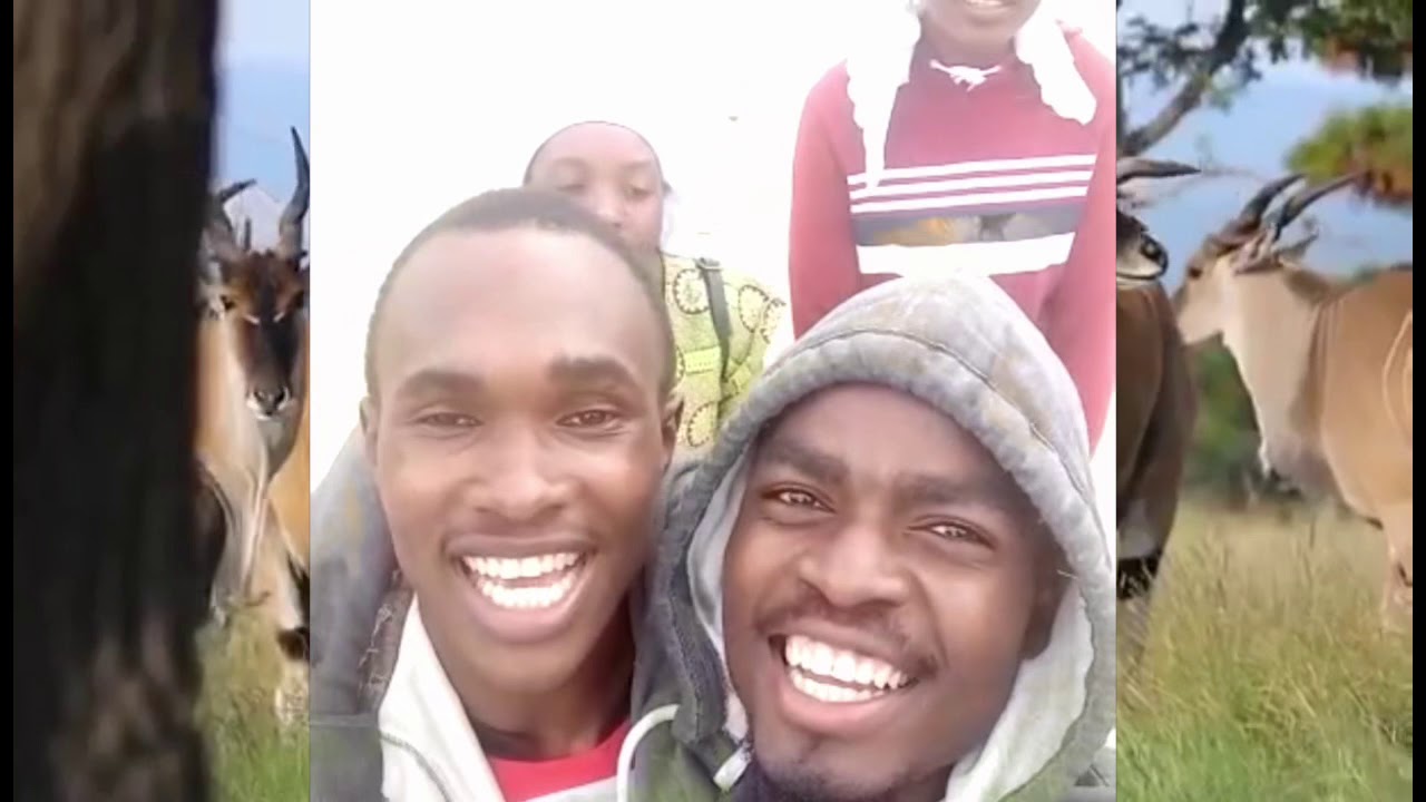 JEHOVAH NGAVAKURIRE