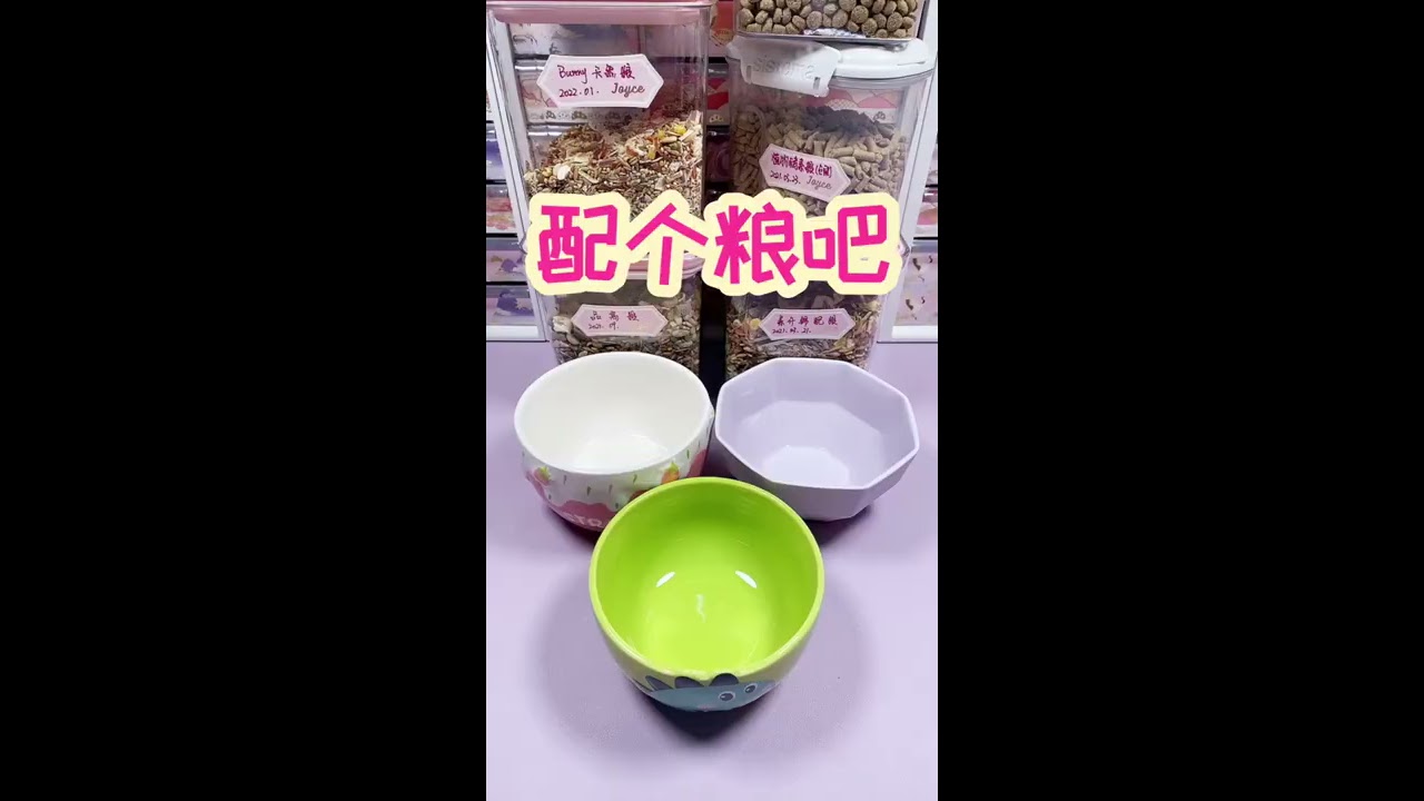 #joyce仓鼠 #养鼠日常分享 #仓鼠配粮 长假后第一个工作日习惯吗？看个配粮放松一下