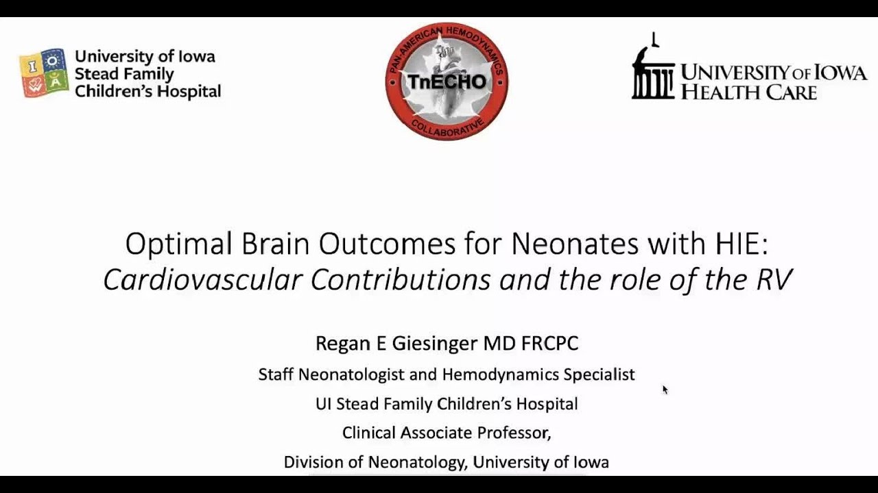 Optimal Brain Outcomes for Neonates With HIE: Cardiovascular Contributions and the Role of the RV