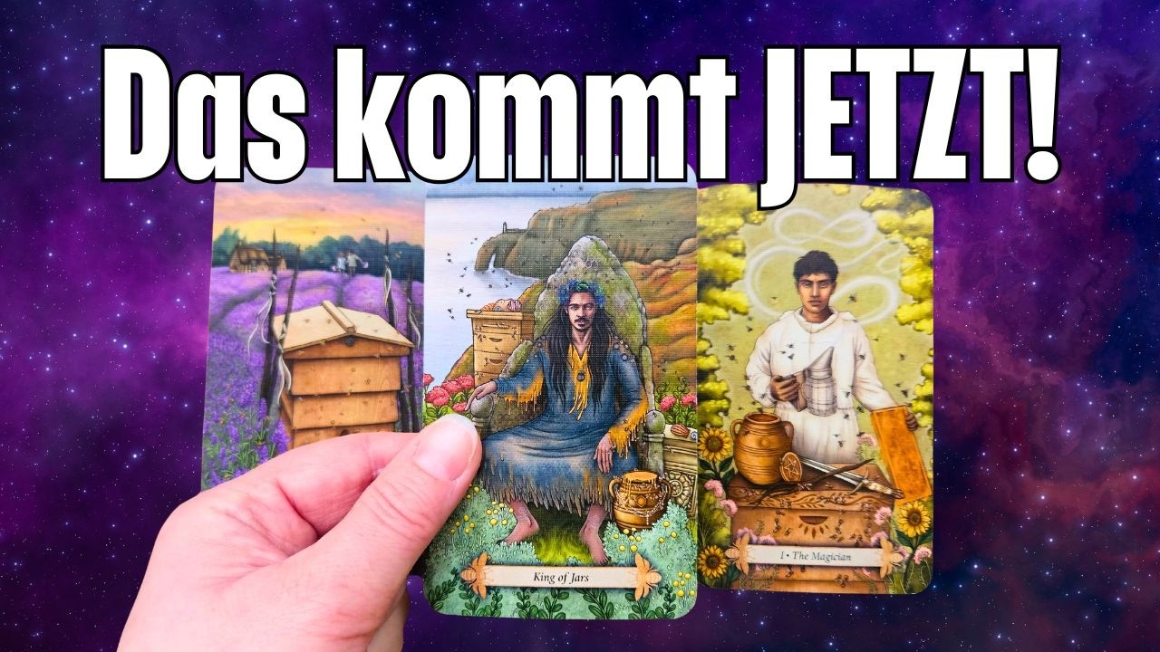 Das kommt jetzt | Ein besonderer Schritt auf Dich zu | 1111 Du hast es gewünscht | Entscheidung