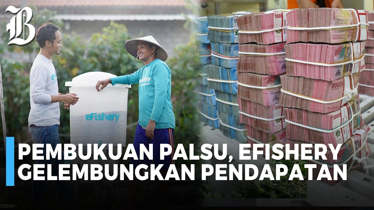 Startup eFishery Tersandung Masalah Penggelembungan Pendapatan