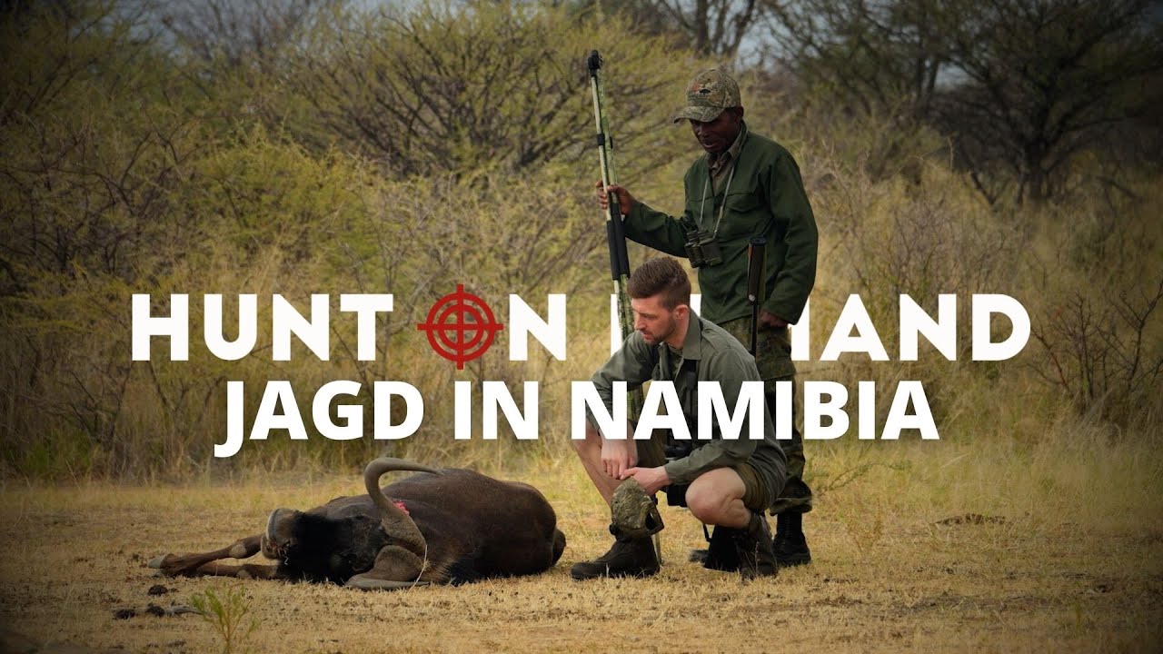 JAGD IN NAMIBIA FOLGE 3 🇳🇦 FETTE BEUTE von @jagenNRW